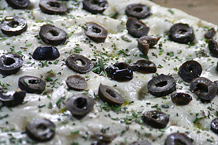 Focaccia Oliven