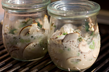 t-pilze-216-img_8087