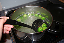 rosenkohl-sieb-216-img_4986